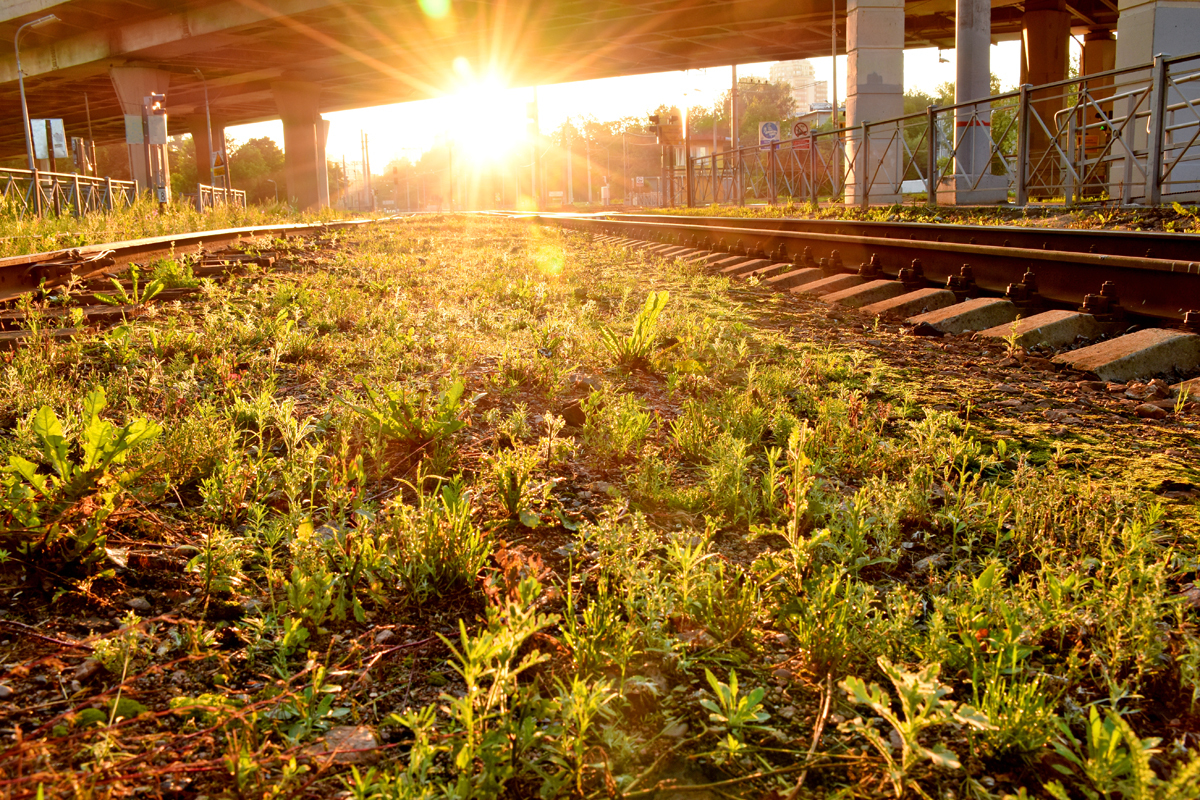 In the morning - My, The photo, Nikon, Railway, Beginning photographer, Longpost