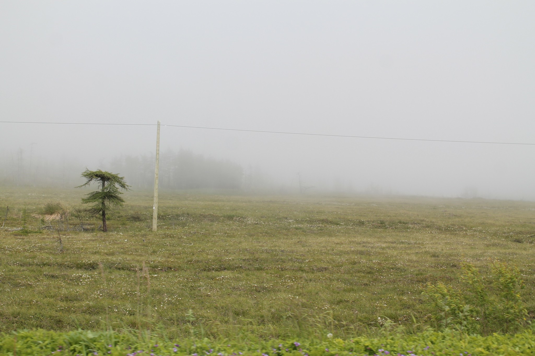 And again the Sea of ??Okhotsk - My, Sea of ??Okhotsk, Magadan, Longpost