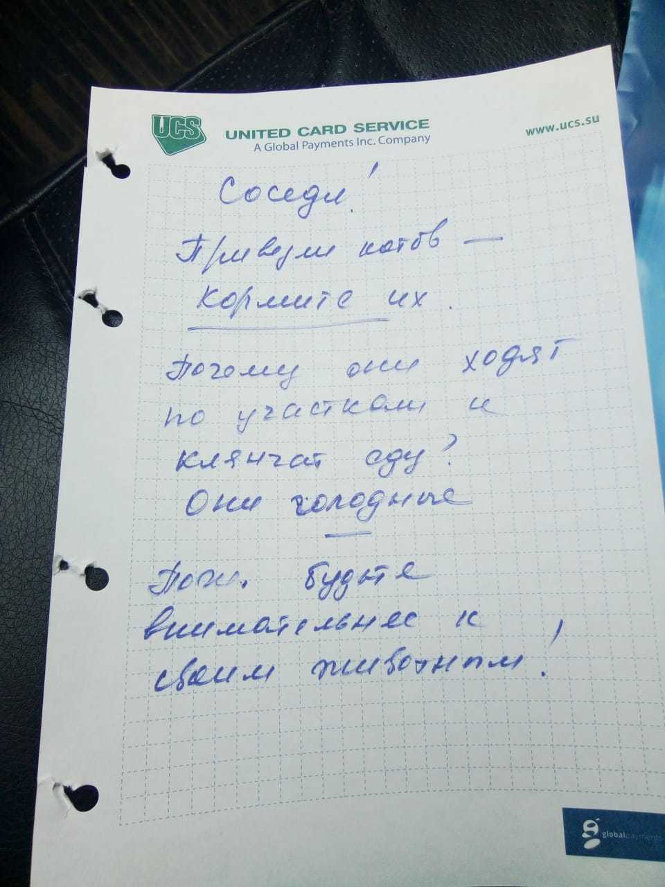 Прям представил, как они ходят, жалуются, что голодные и клянчат еду=) - Моё, Коты наше всё, Кот, Соседи, Домашние животные