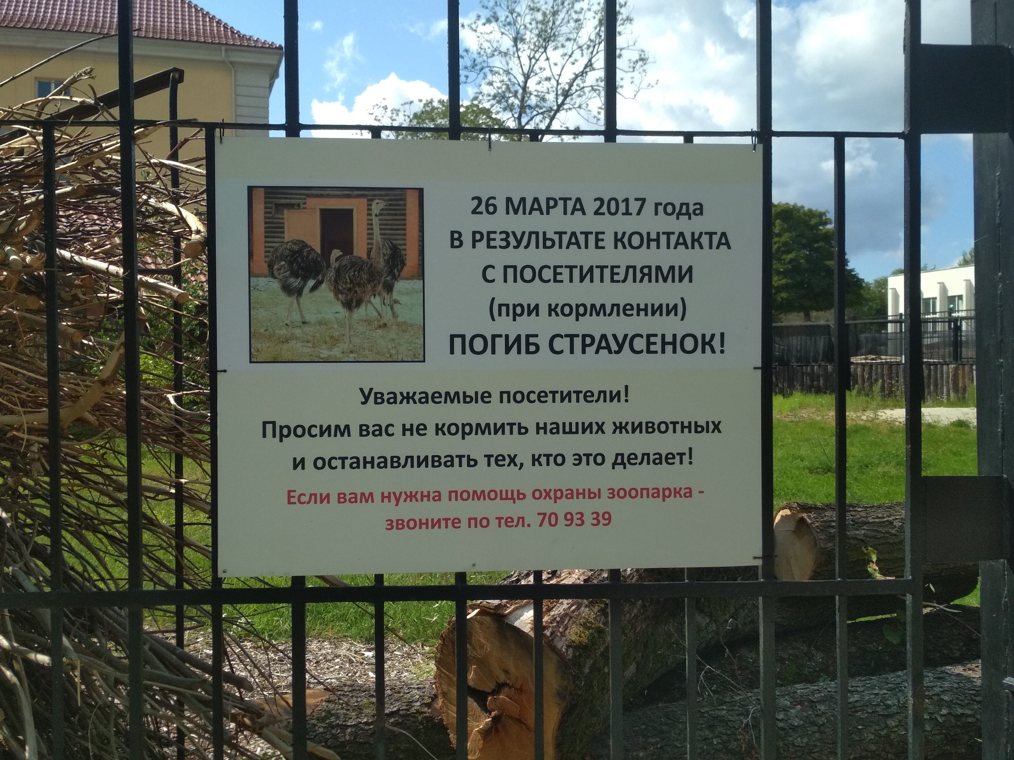 Zoo - My, Zoo, Visitors, Animals, Kaliningrad Zoo, Kaliningrad, Ostrich, Death