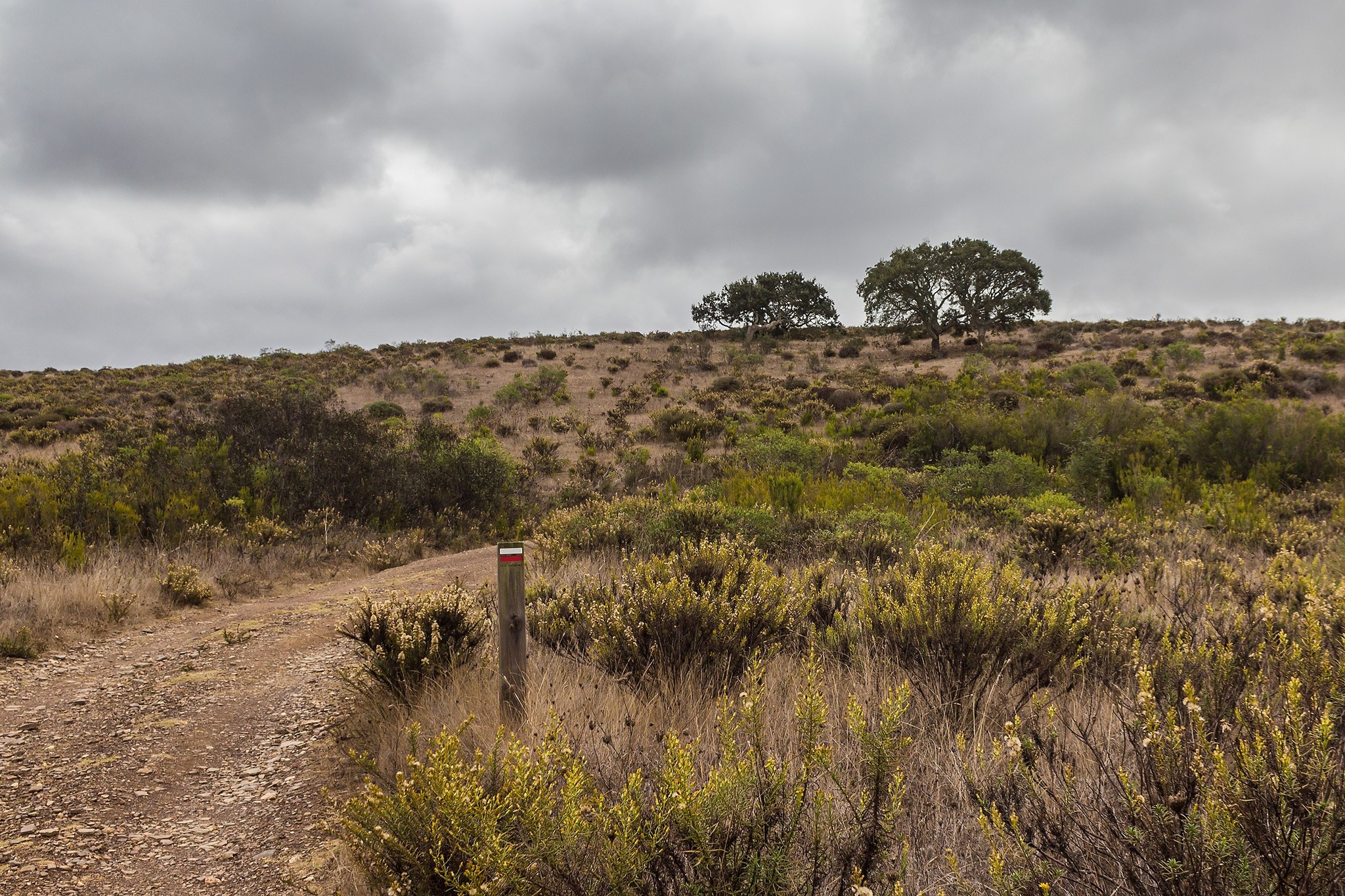 Fifth day on Rota Vicentina: a shortcut - My, Travels, The photo, Europe, Portugal, On foot, Hiking, Longpost