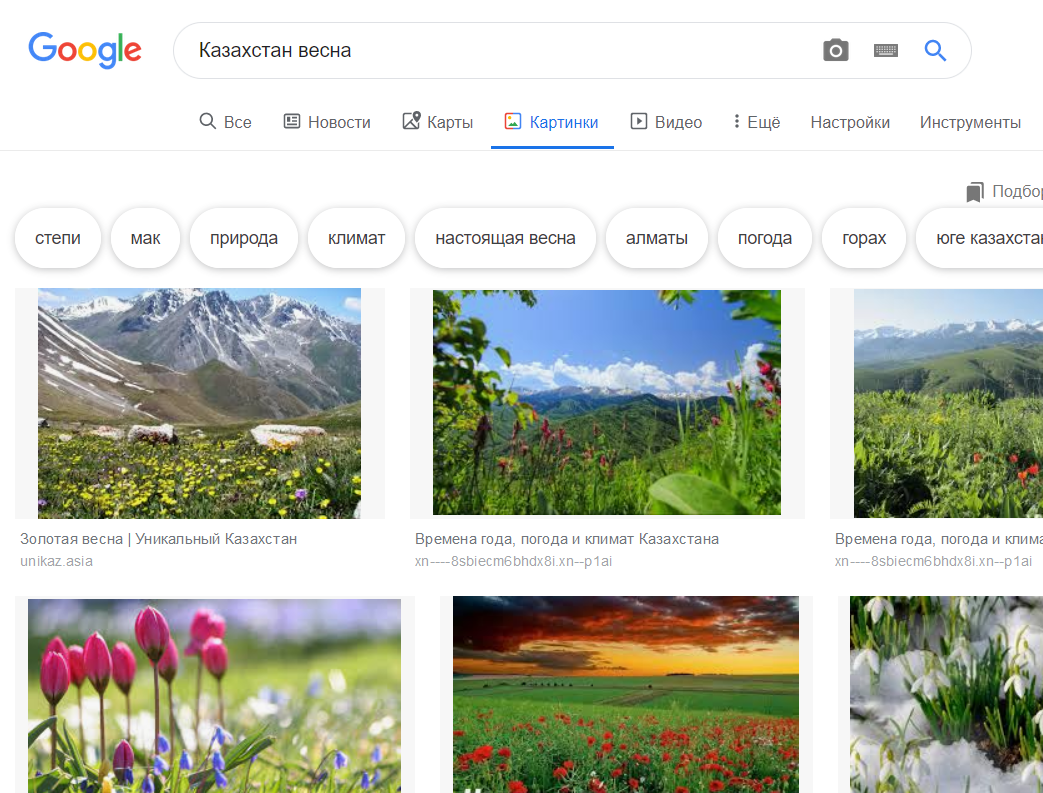 optimism from google images - Images, Spring, Search queries, Longpost