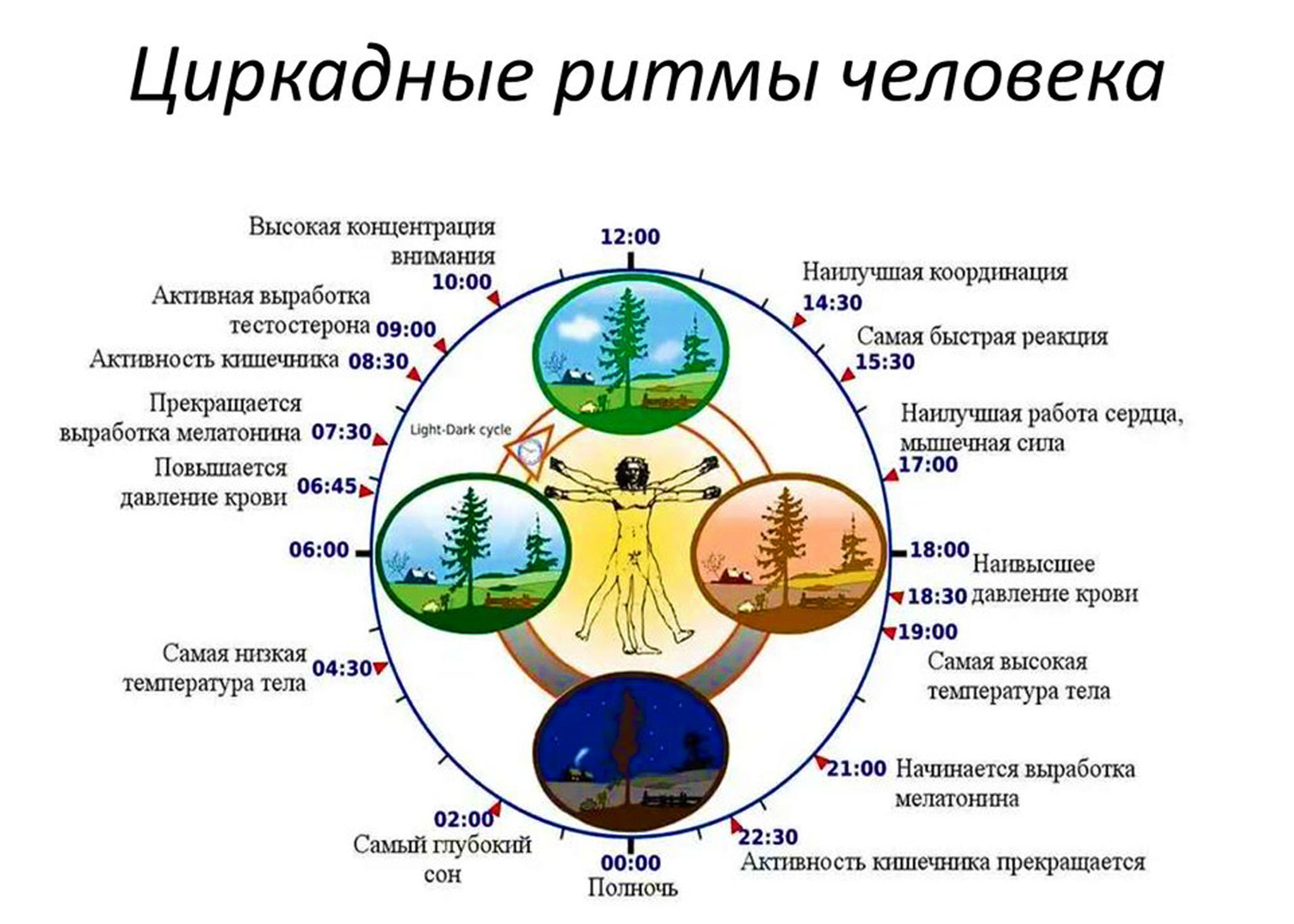 Американские учёные проверили влияние смартфона на сон человека | Пикабу