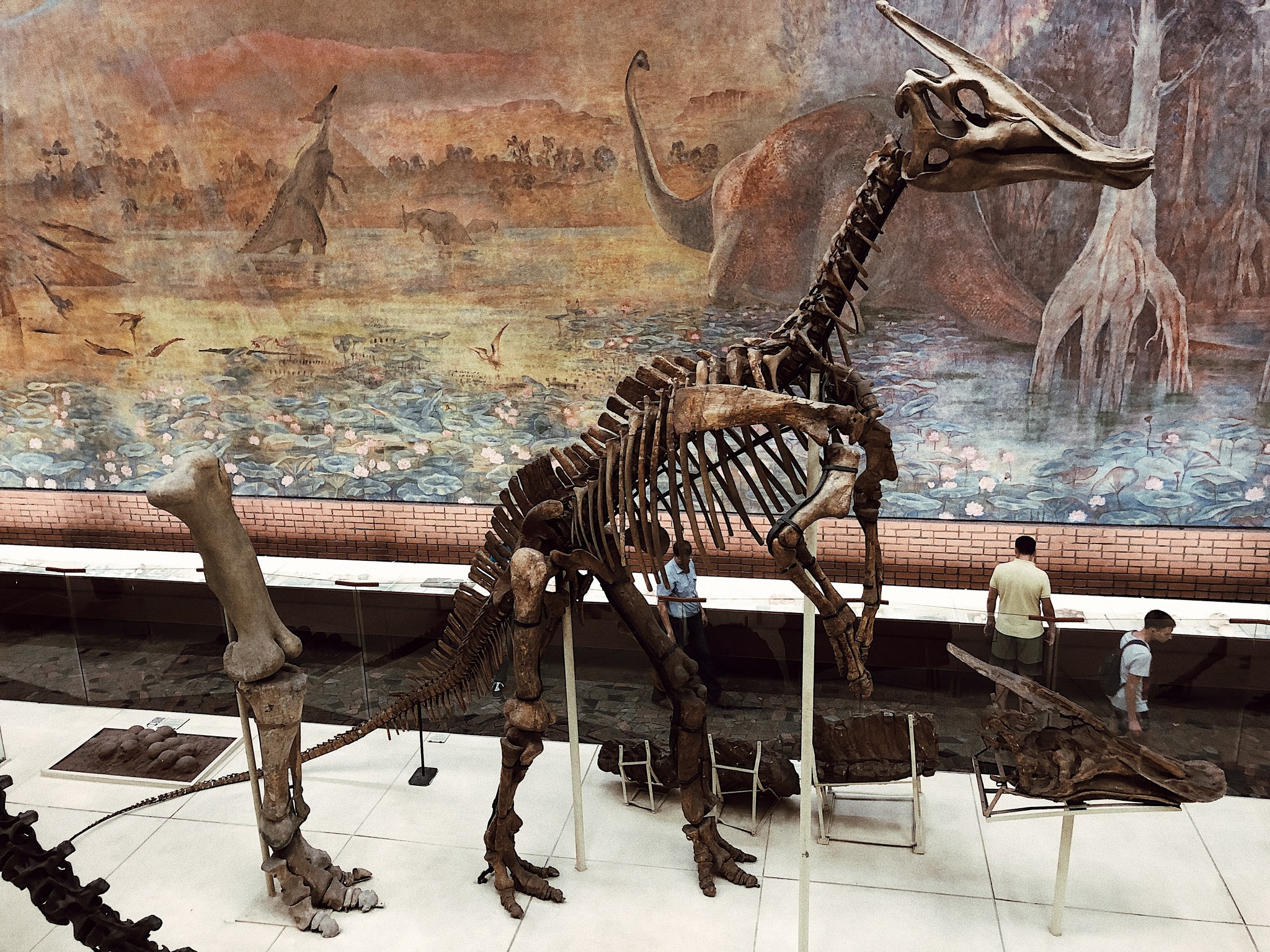 Paleontological Museum in Moscow - My, Paleontology, Museum, The photo, Dinosaurs, Nauchpop, Moscow, Video, Longpost