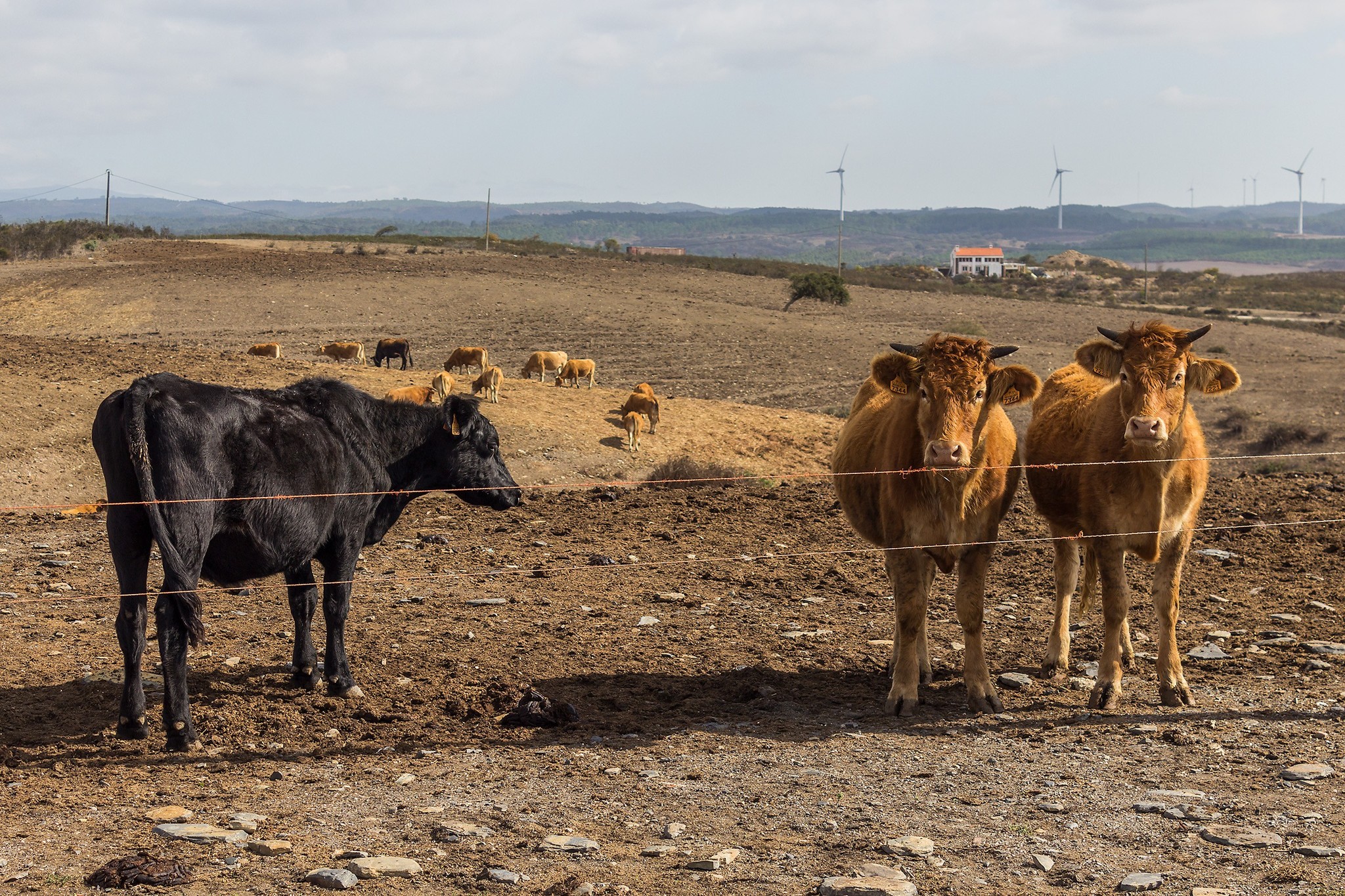 Sixth day on Rota Vicentina: waves and wind - My, Travels, The photo, On foot, Hiking, Europe, Portugal, Nature, Ocean, Longpost