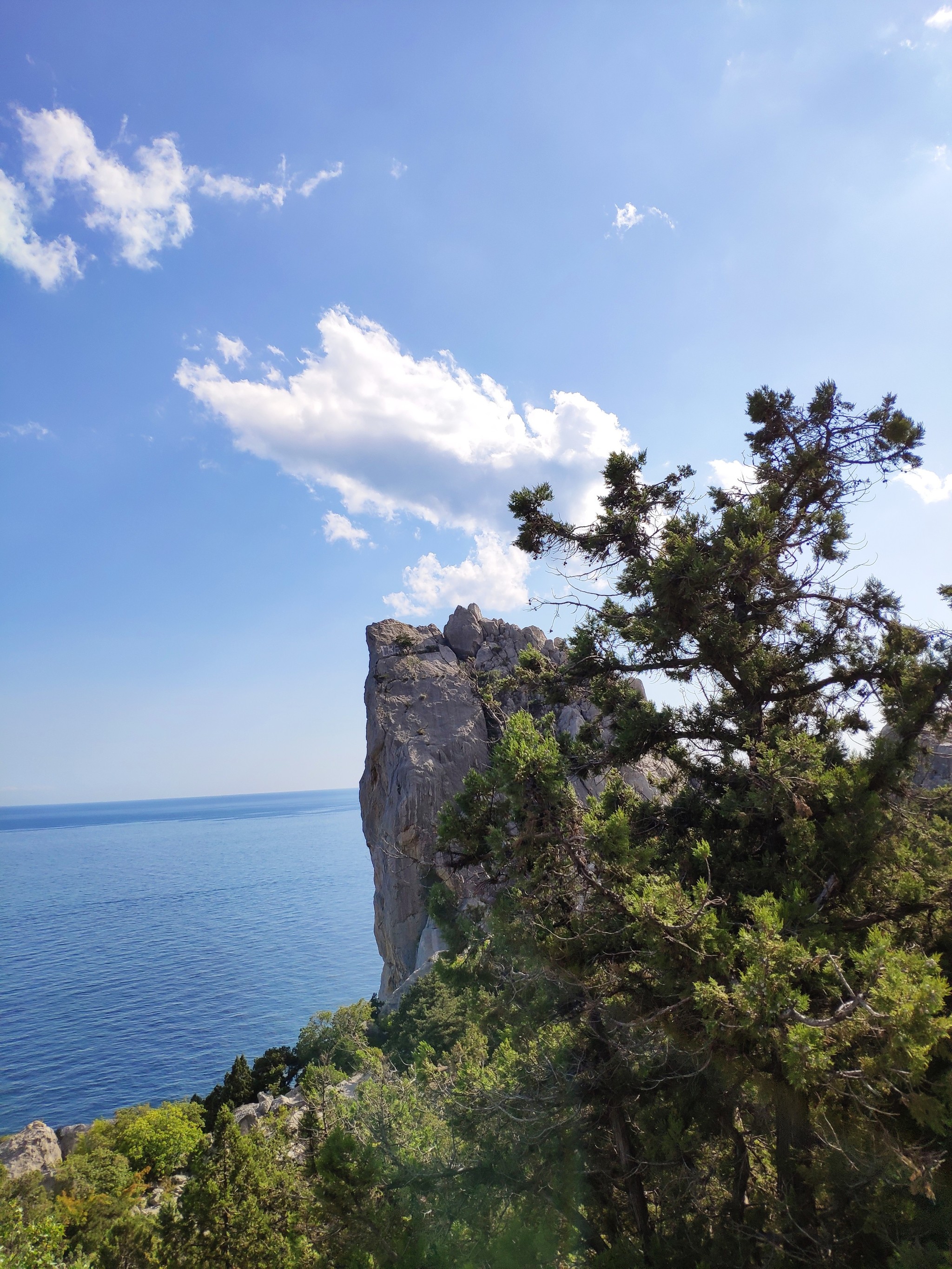 Crimea '19 - My, Crimea, Simeiz, Mount Cat, Longpost