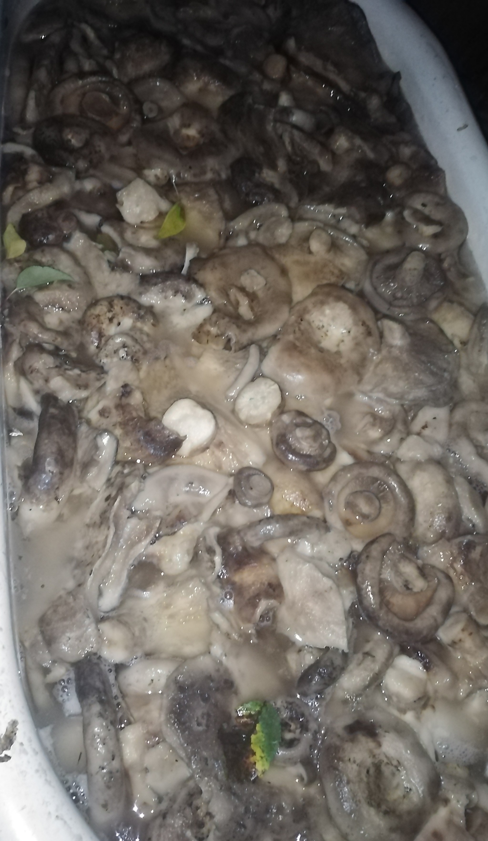 Rowing paradise porcini mushrooms have begun - My, Mushrooms, Food, Mushroom pickers, Cooking, Longpost, Porcini, Fungus