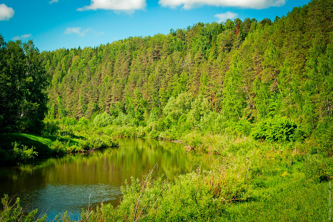 Река целей