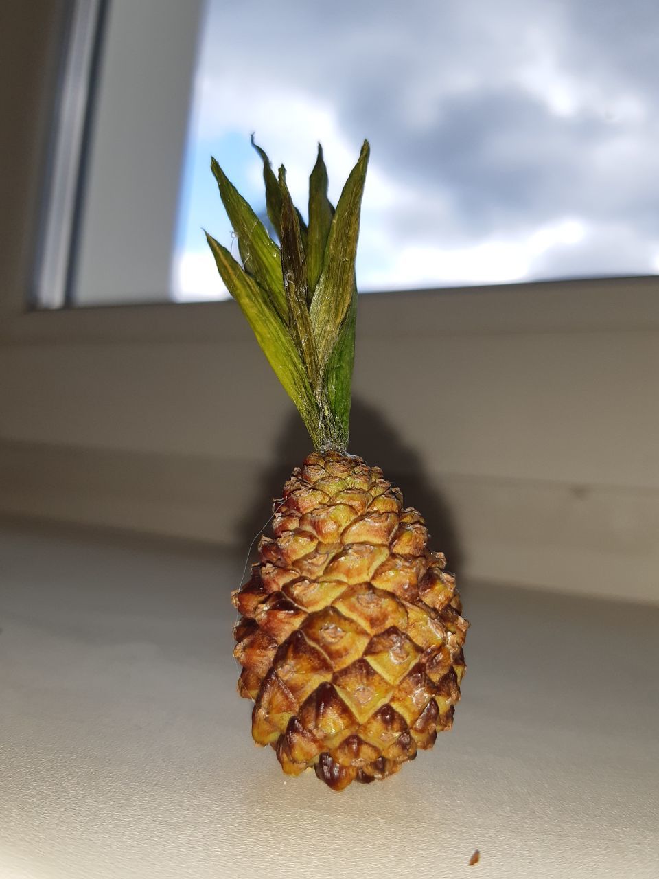 This is how we grew pineapple - My, With your own hands, A pineapple, Imagination, Crafts, Needlework, Longpost