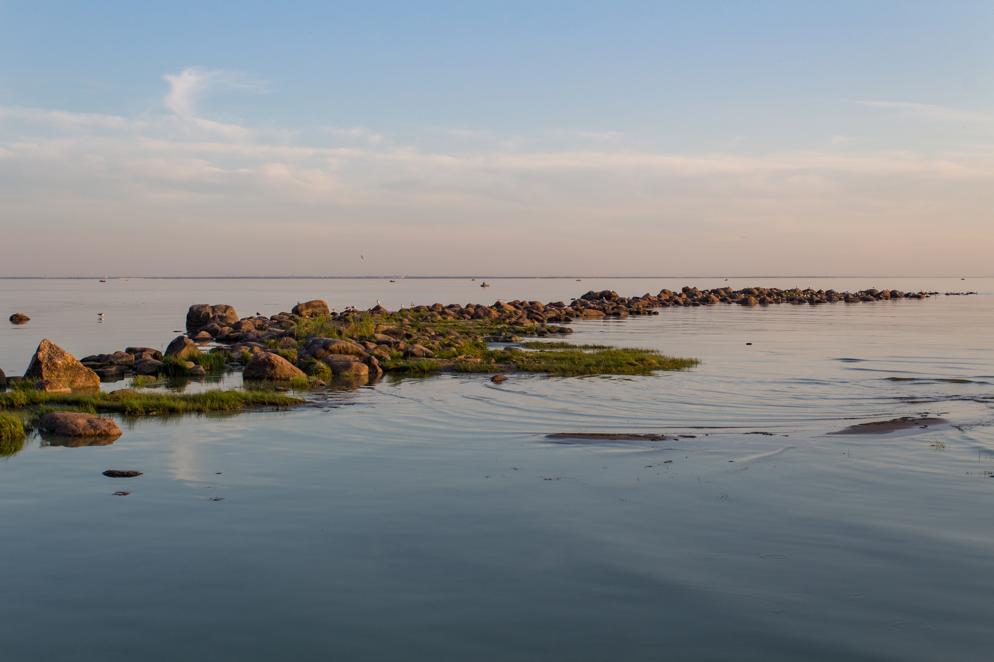 The Gulf of Finland - My, The Gulf of Finland, The photo, Birds, Seagulls, Sunset