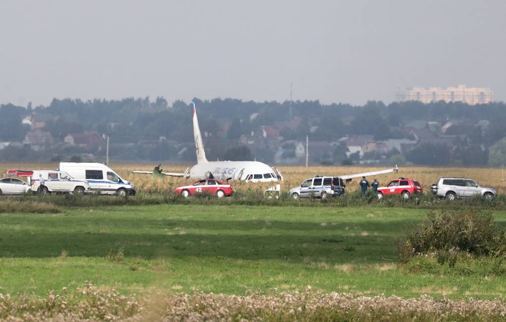 Наш самолет упал, я жив. Рассказ мамы пассажира Airbus A321 - Моё, Авиация, Аварийная посадка, Airbus A321, Уральские авиалинии