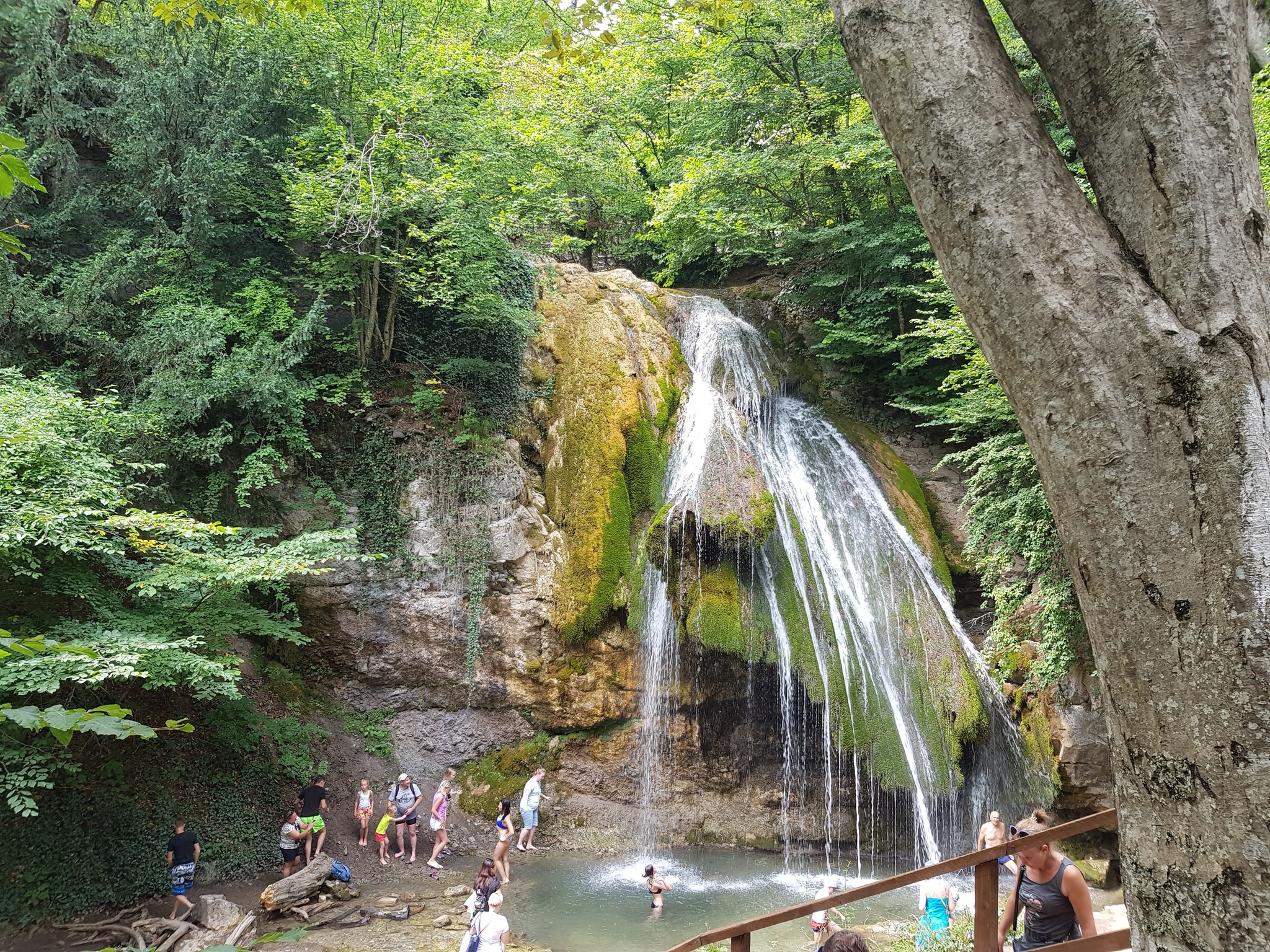 No filters - Crimea, Nature, Forest, Waterfall, Photo on sneaker, Longpost, The photo