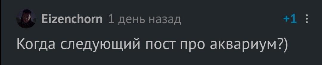 Потоп - Моё, Аквариум, Аквариумные рыбки, Домашние животные, Длиннопост