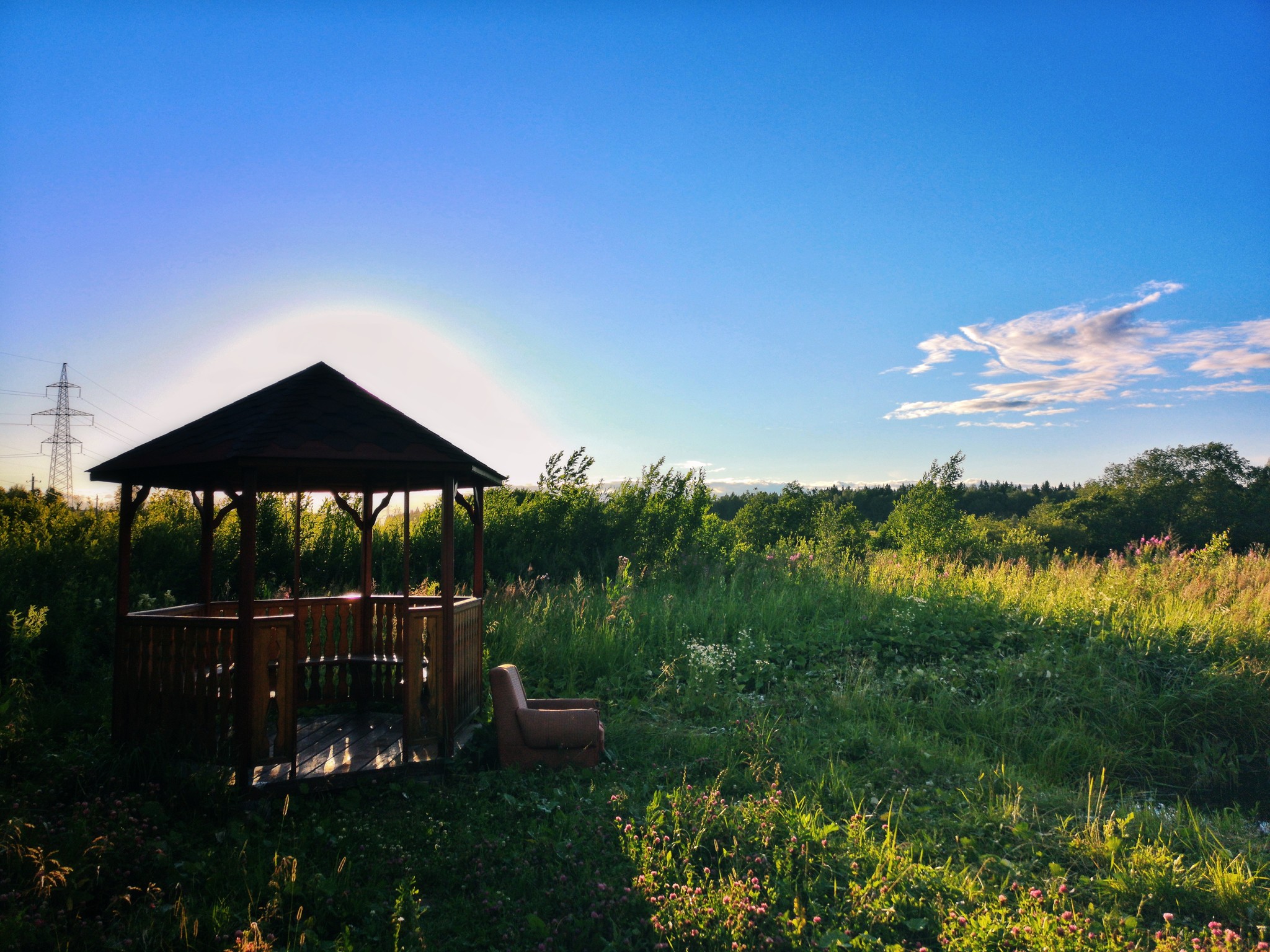 Nature frames. - My, Birds, Dacha, Nature, Insects, Longpost