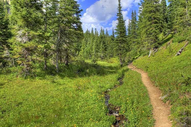 TOP 10 charming hiking trails in the USA - USA, America, Tourism, Mountain tourism, Hiking, Travels, USA travel, Longpost