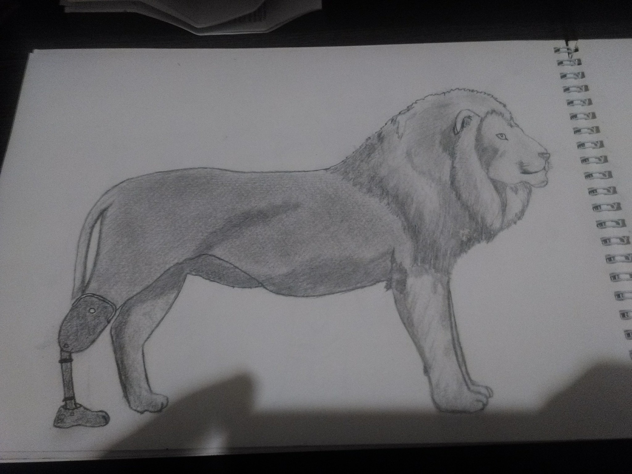 Savvy - My, Drawing, Pencil drawing, Prosthesis, a lion