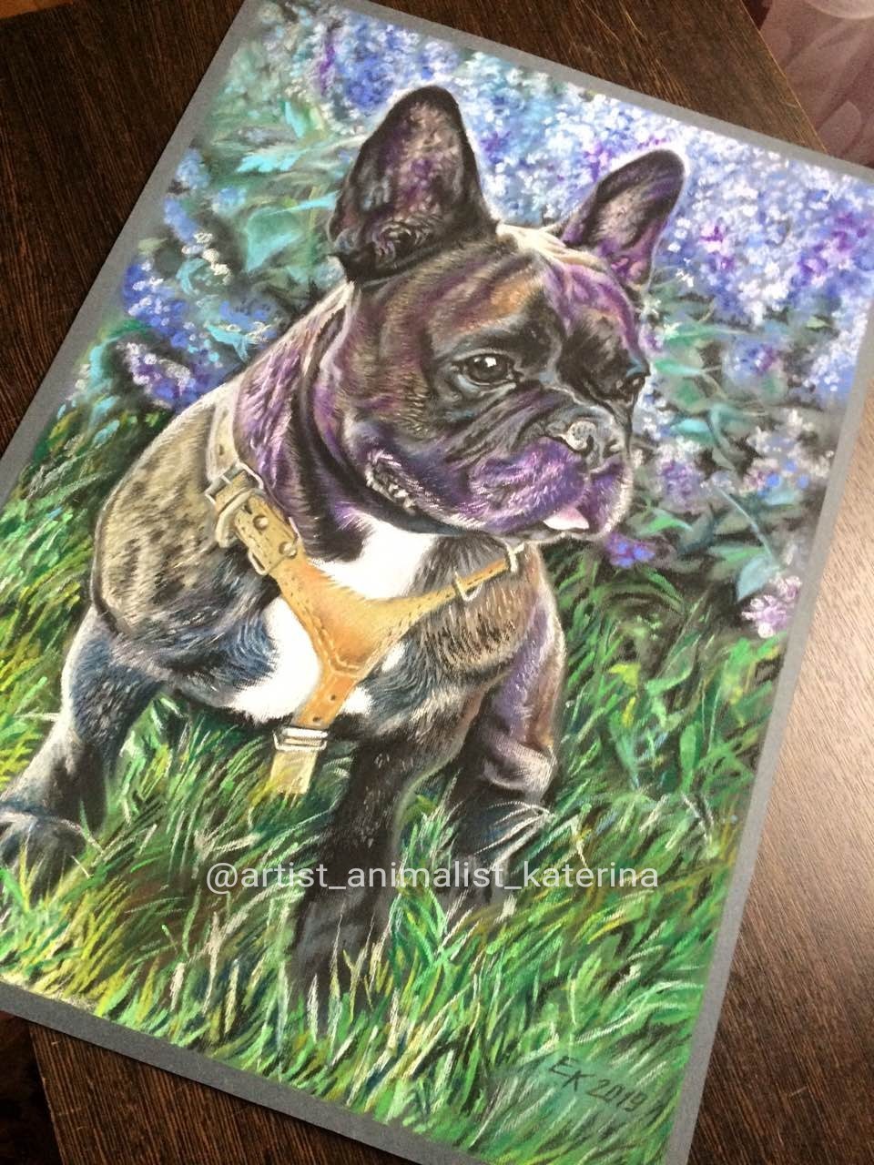 Veniamin Tsarsky Gift (French Bulldog). The commemorative portrait is made in pastel. A3 format. - My, Portrait, Drawing, Dog, French Bulldog, Dry pastel, Painting, Longpost