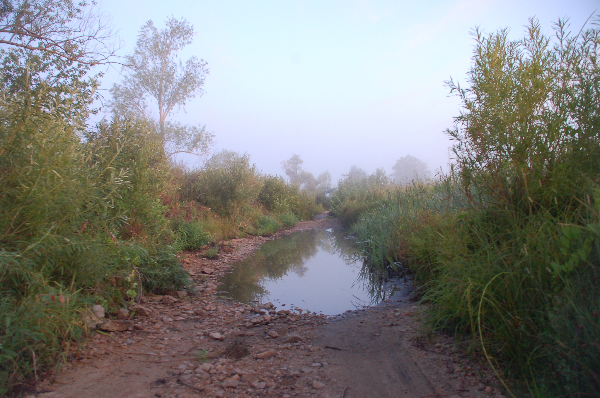 Altai Territory Lake Kolyvanskoe. - My, Altai region, Lake, , Nature, Travels, Longpost