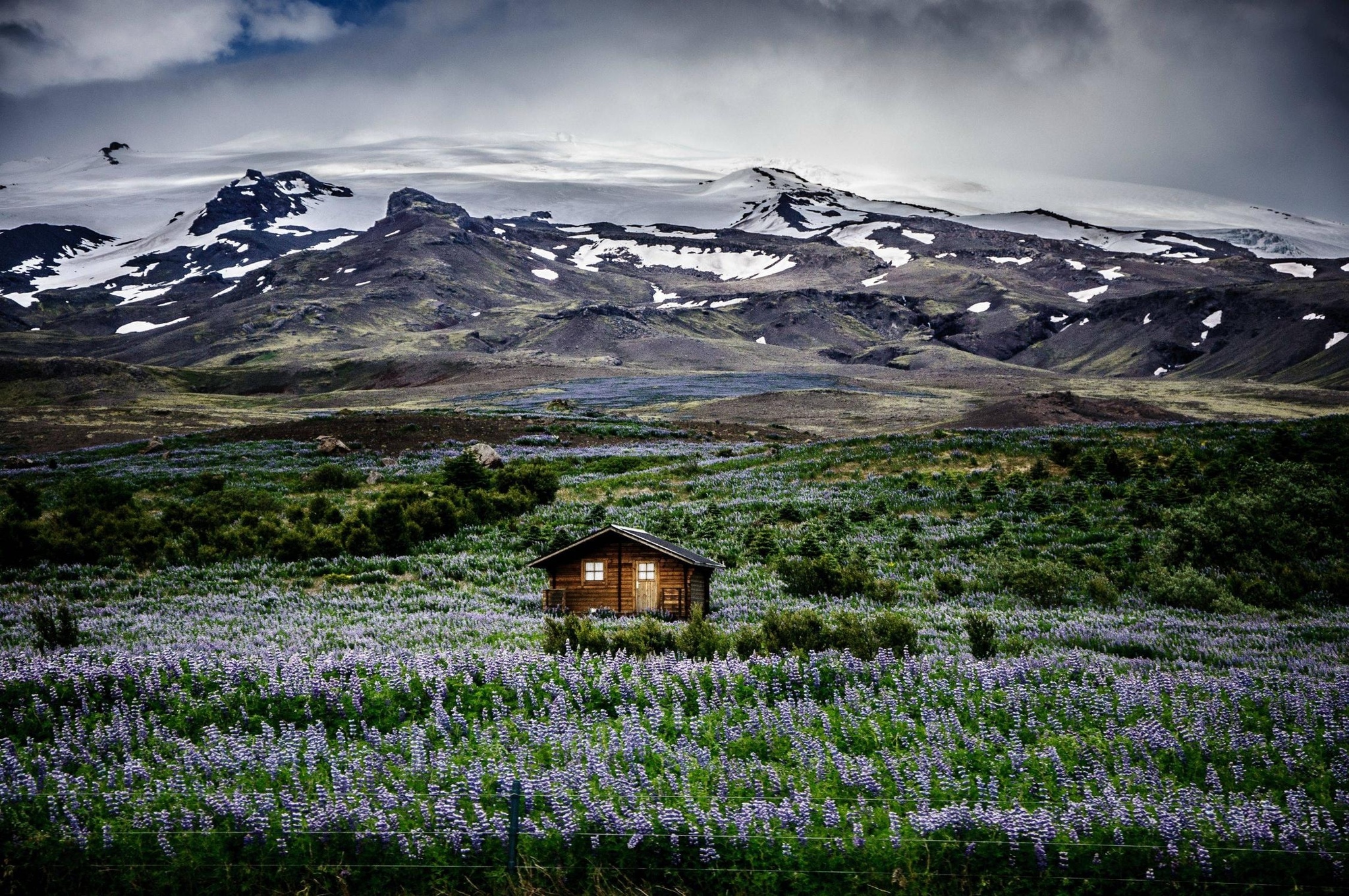 Paradise of the introvert - Nature, House in the woods, Longpost