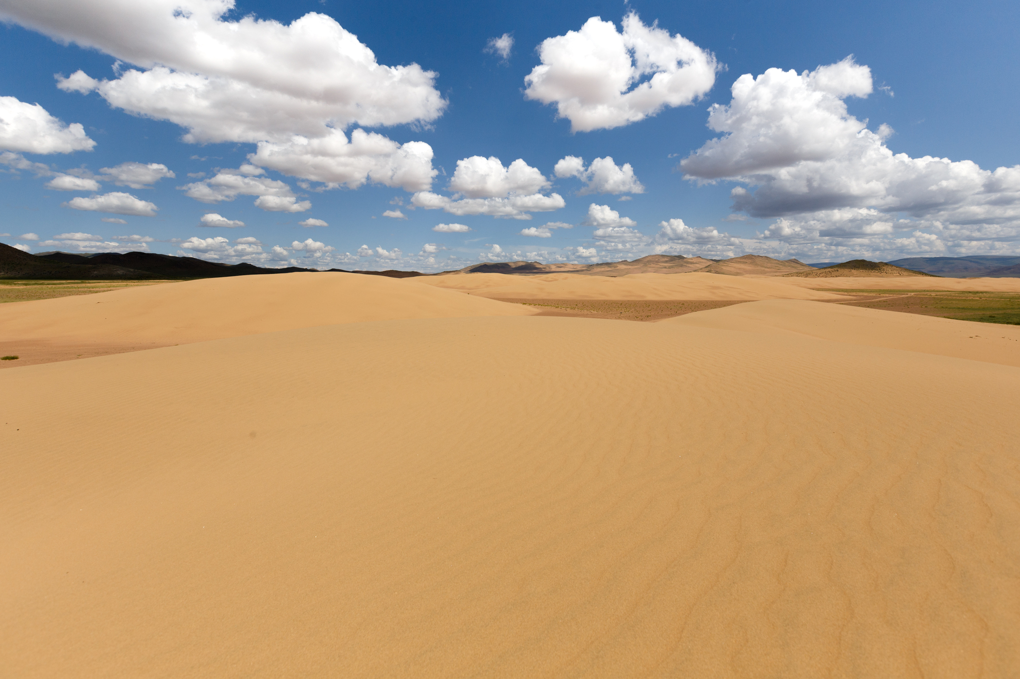 Diversity of Mongolia - My, Mongolia, Altai, Nature, Landscape, The mountains, Desert, Travels, Photographer, Longpost, Altai Republic