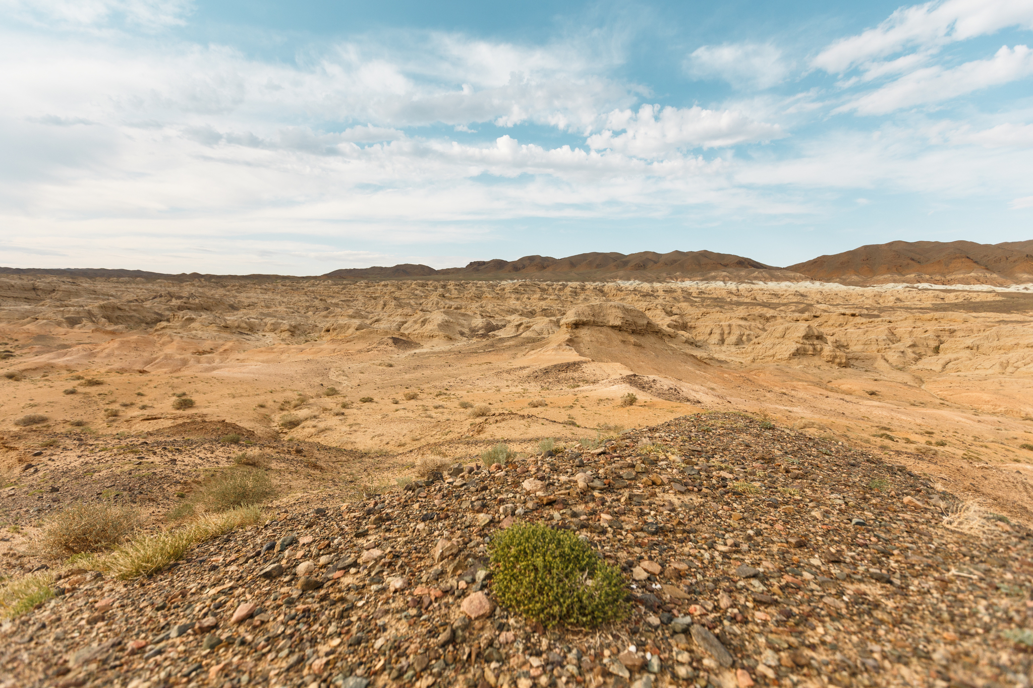 Diversity of Mongolia - My, Mongolia, Altai, Nature, Landscape, The mountains, Desert, Travels, Photographer, Longpost, Altai Republic