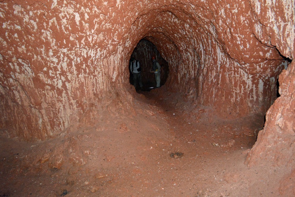 Prehistoric mega-burrows of giant sloths - Paleontology, Sloth, Copy-paste, Longpost, Nora, South America, Interesting, Informative