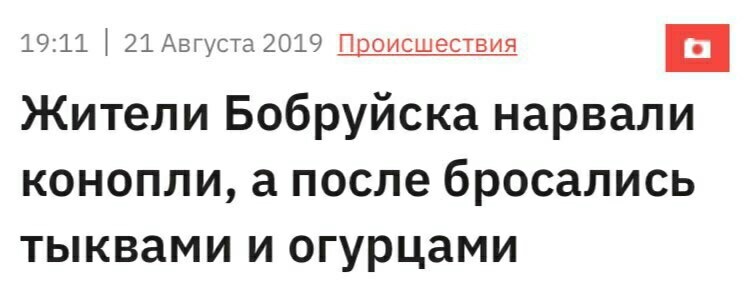 Хорошо в Бобруйске - Конопля, Бобруйск, Весело живём, Республика Беларусь, Веселая жизнь