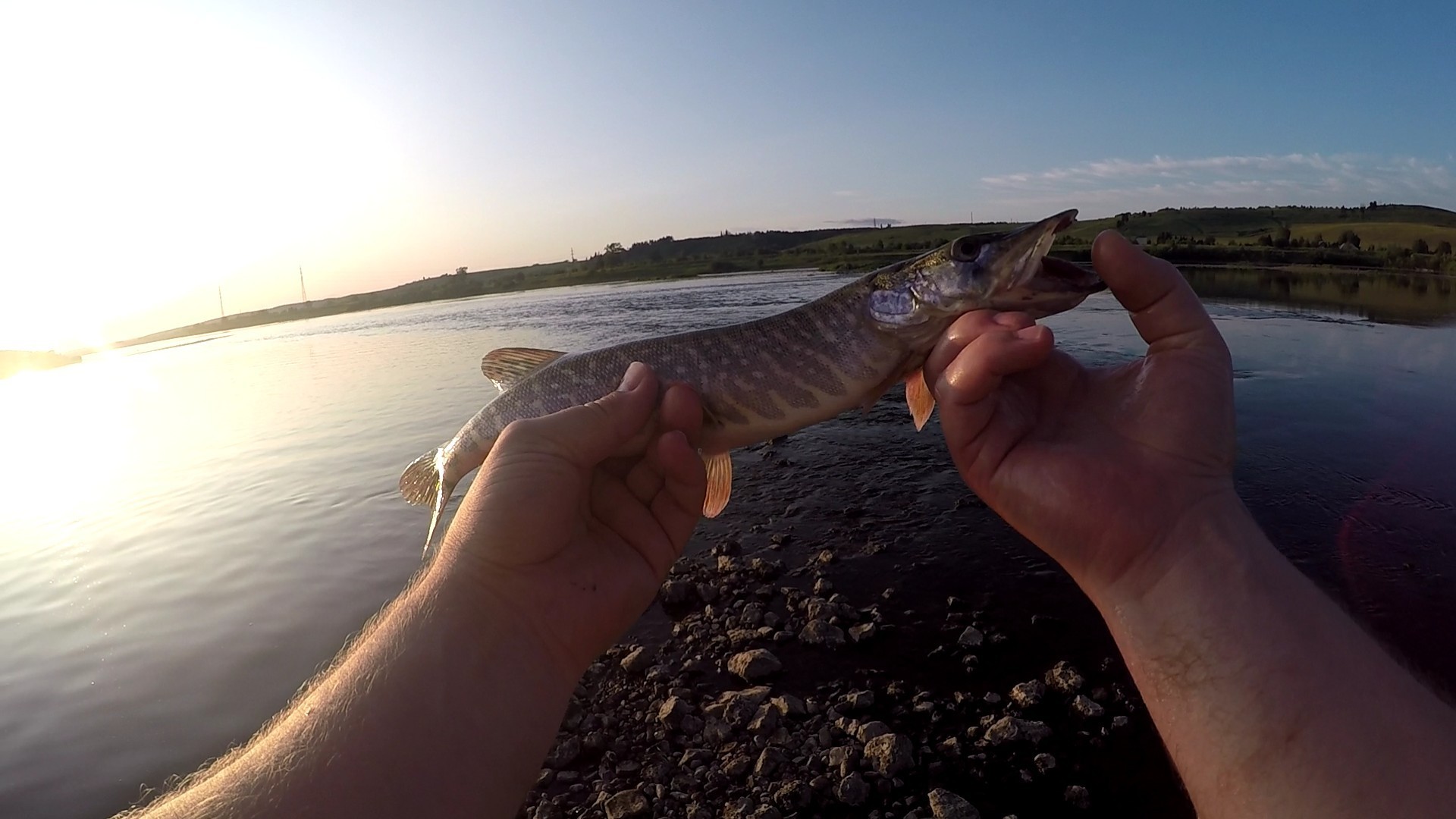 Chusovaya river. - My, Fishing, Chub, Spinning, Ultralight, Ural, Chusovaya River, Perch, Pike, Video, Longpost