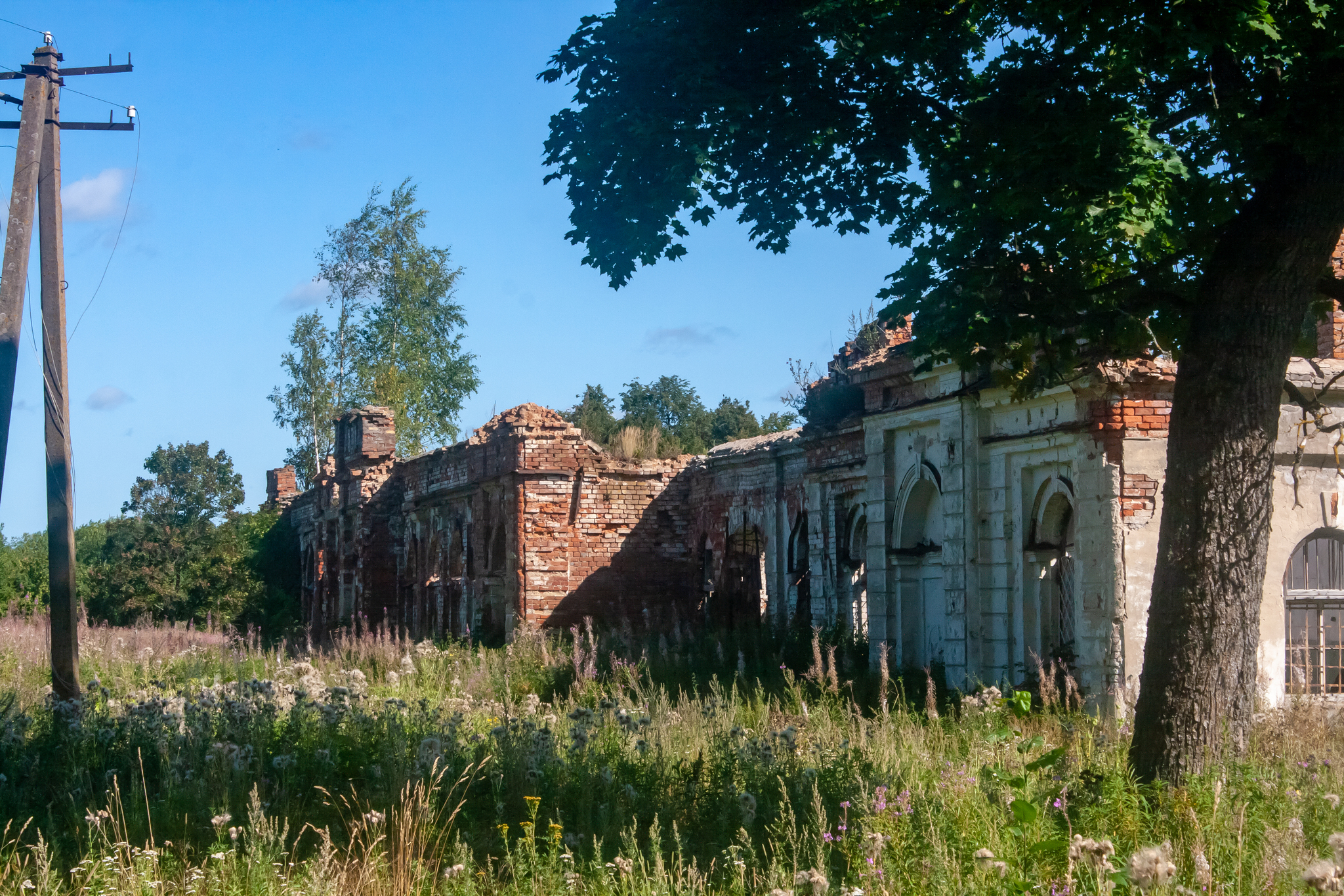 Заросший парк, а в нём старинный дом - разрушенная усадьба-дворец в деревне  Гостилицы. | Пикабу