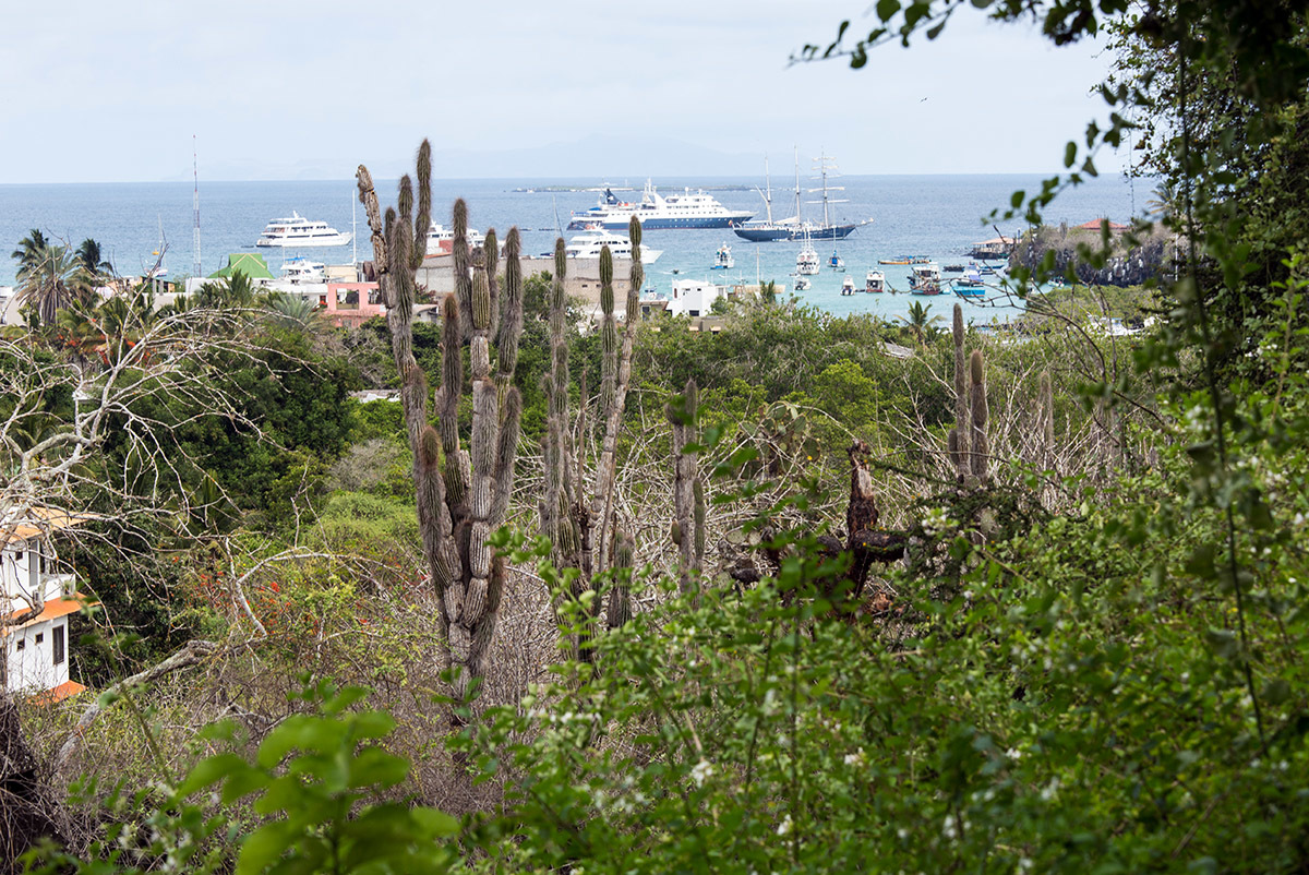 Galapagos. - My, Galapagos Islands, Ecuador, Sea, Travels, Longpost