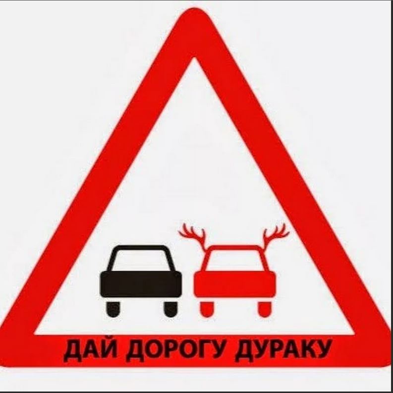 What to do if you ran into a car driver. - Auto, People, Cattle, Cattle on the roads, Longpost