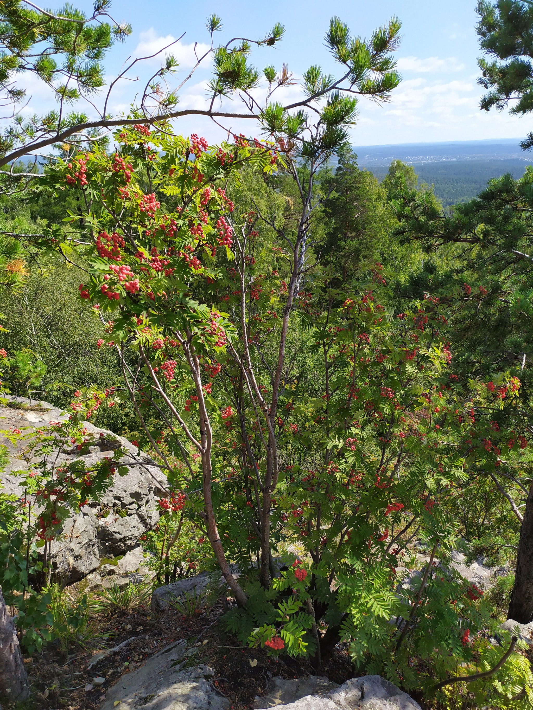 Azov-mountain, Polevskoy urban district - My, The mountains, Nature, Walk in the woods, Longpost