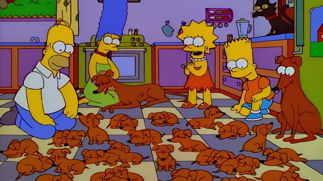 Simpsons for every day [August 26] - The Simpsons, Every day, Dog, Dogs and people, GIF, Longpost, Santa's Little Helper