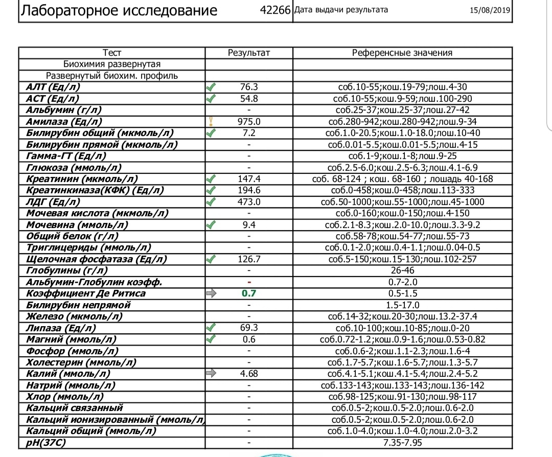 Pikabushniks, help out with advice - My, No rating, Catomafia, Help, Longpost, cat