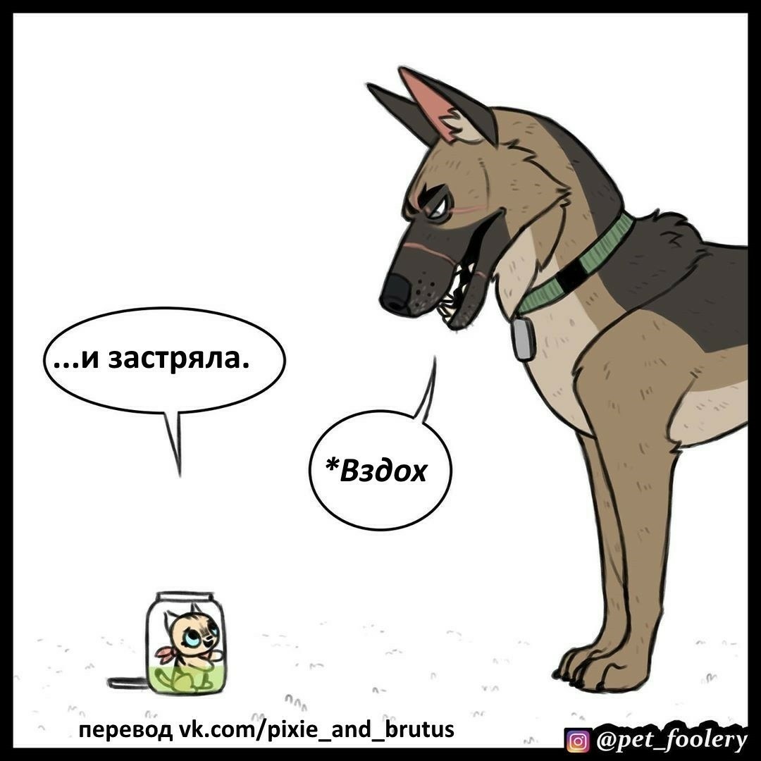 Огурикси - Брут и Пикси, Комиксы, Длиннопост, Pet Foolery, Кот, Собака