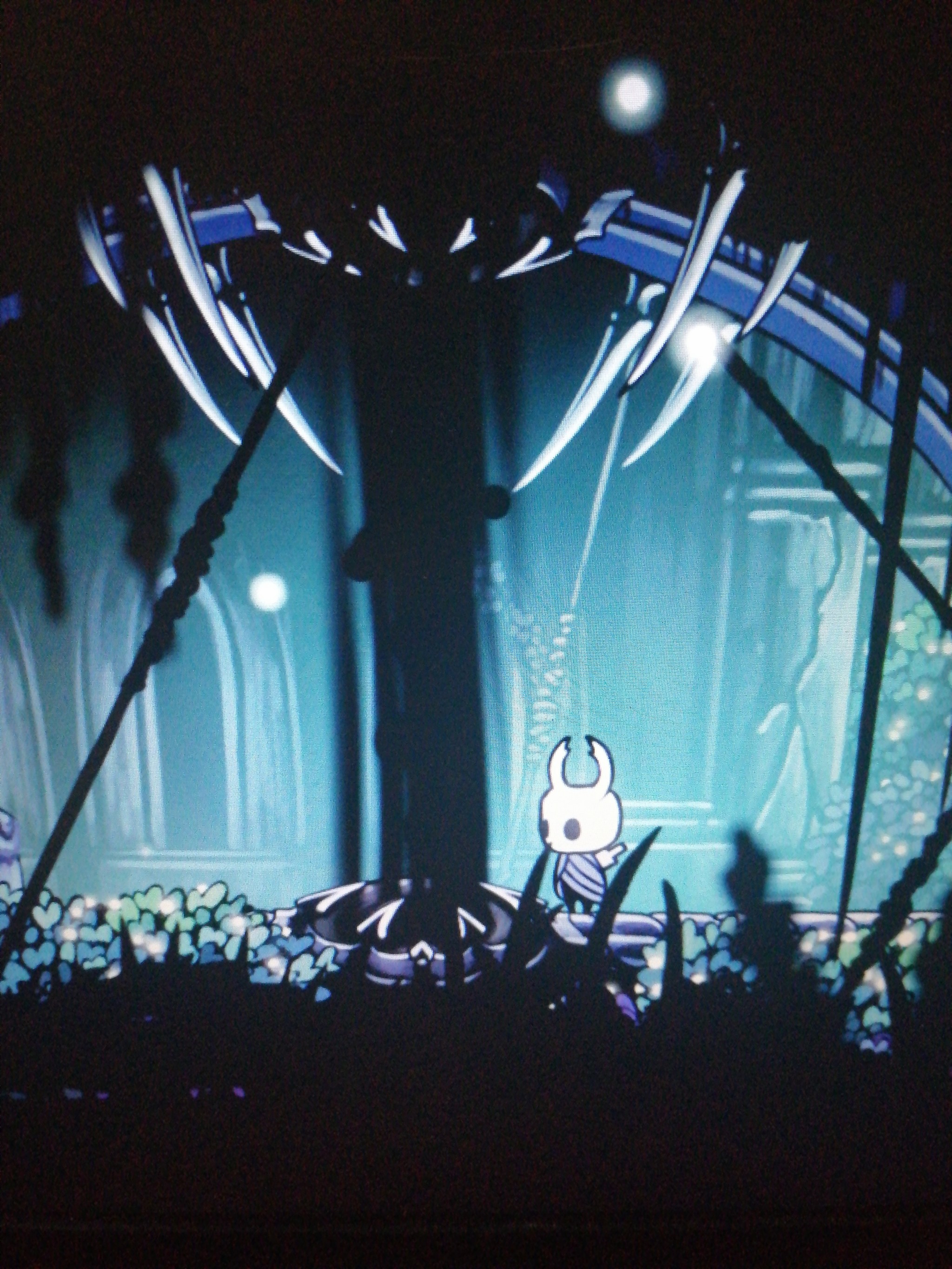 Hollow knight - Hollow knight, 