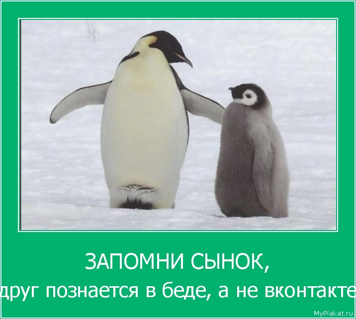 Друг всегда напомнит, грусть-печаль изгонит, вот что значит настоящий верный друг... - Напоминание, Благодарность, Друзья