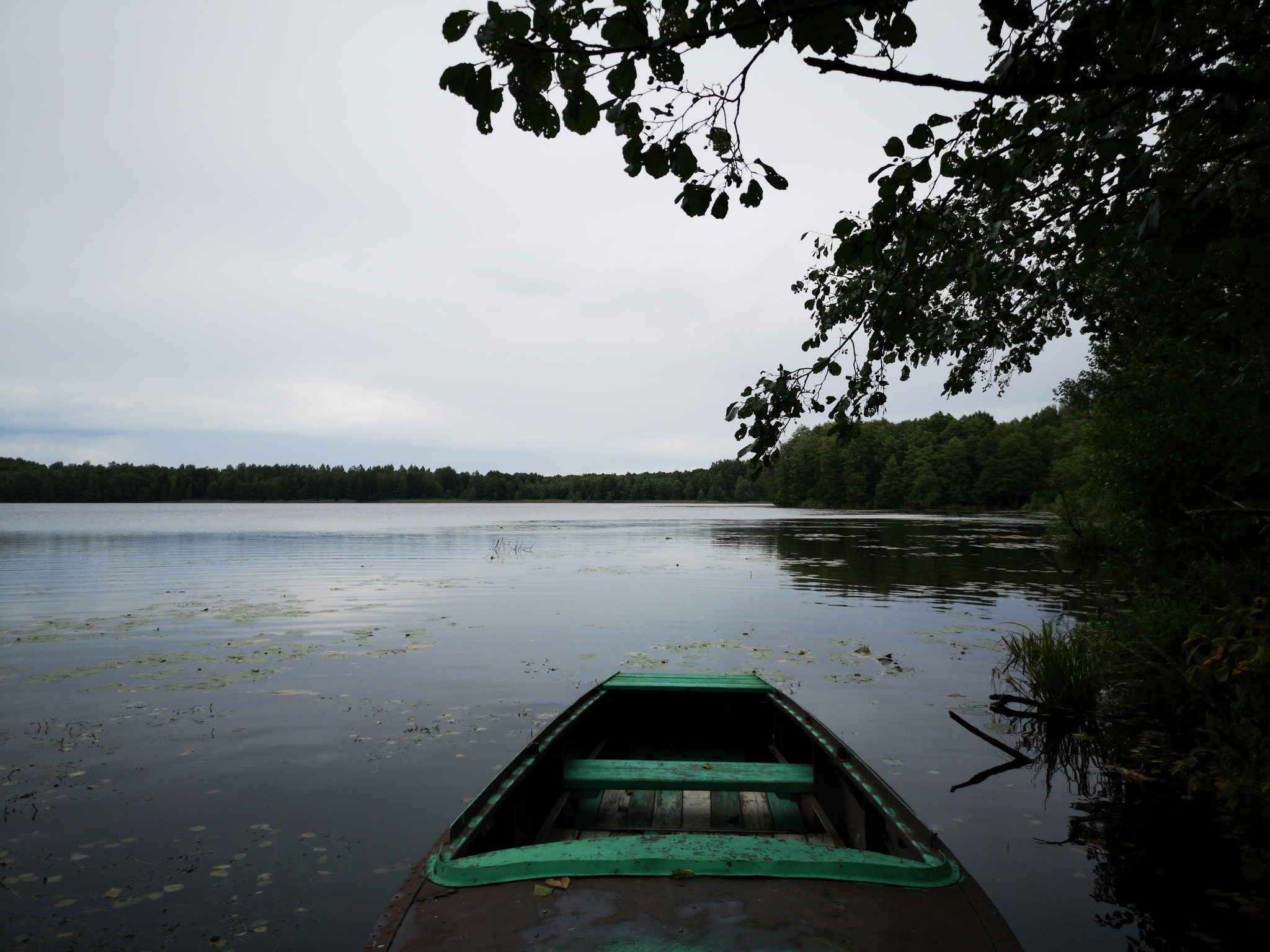 And silence... - My, Beginning photographer, Nature, River, Lake