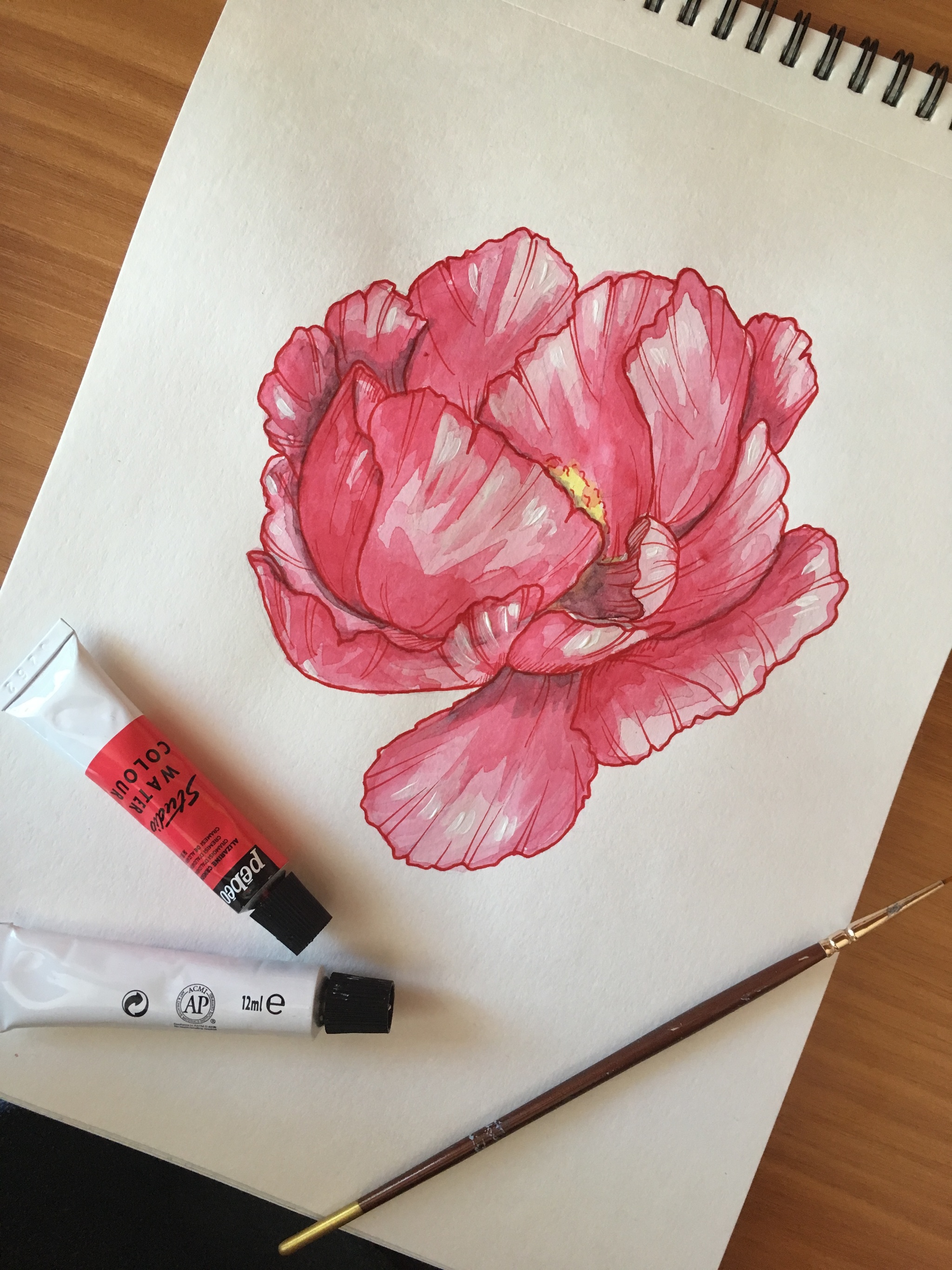 watercolor peony - My, Watercolor, Peonies, Art