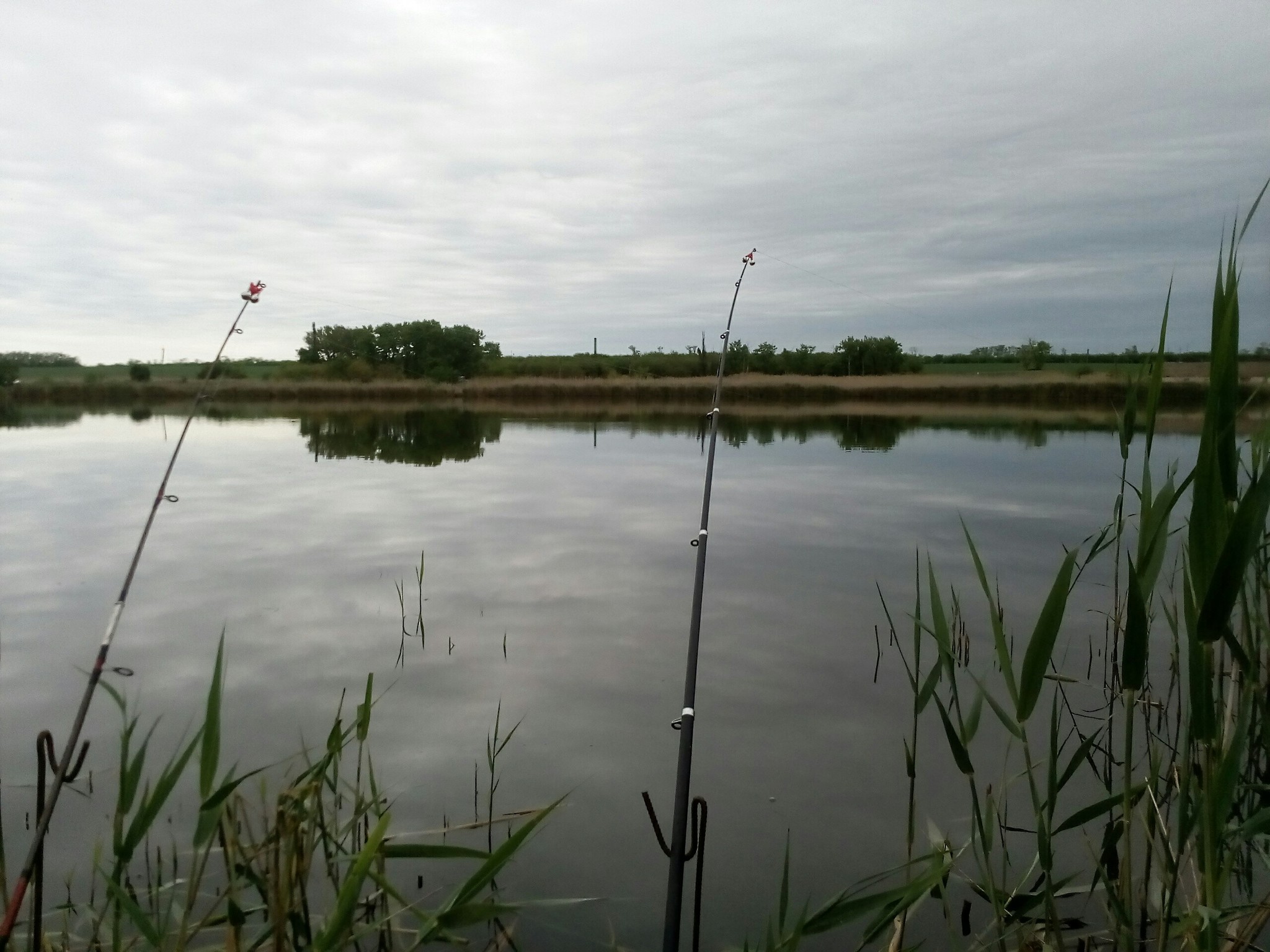 Rivers of Kuban - My, River, beauty of nature, Longpost