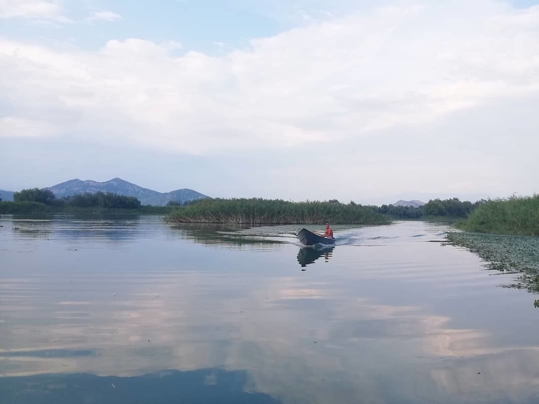 Montenegro, Skadar Lake - My, Montenegro, Nature, Lake