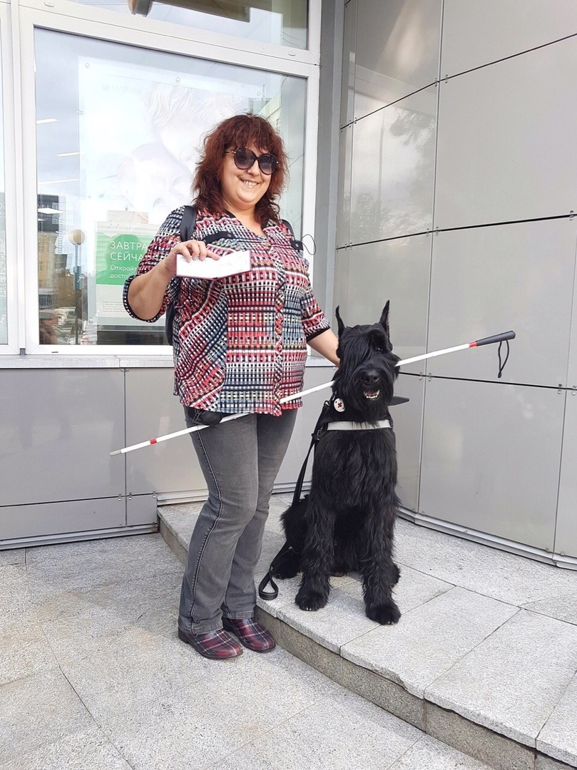 The road will be mastered by the walking - Guide-dog, Giant schnauzer, Longpost