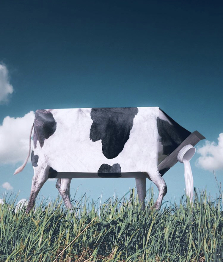 A different look at the dairy business. Cow as a milk machine - Cow, Milk, Nature, Another look, Photoshop, Instagram