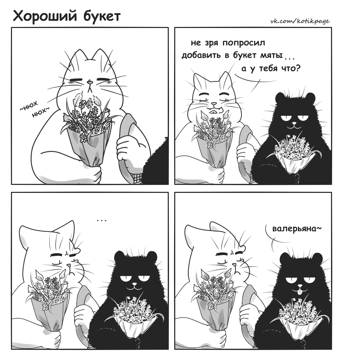 Line of bouquets - My, cat, , Autumn, Bouquet, Cat mint, School, Comics