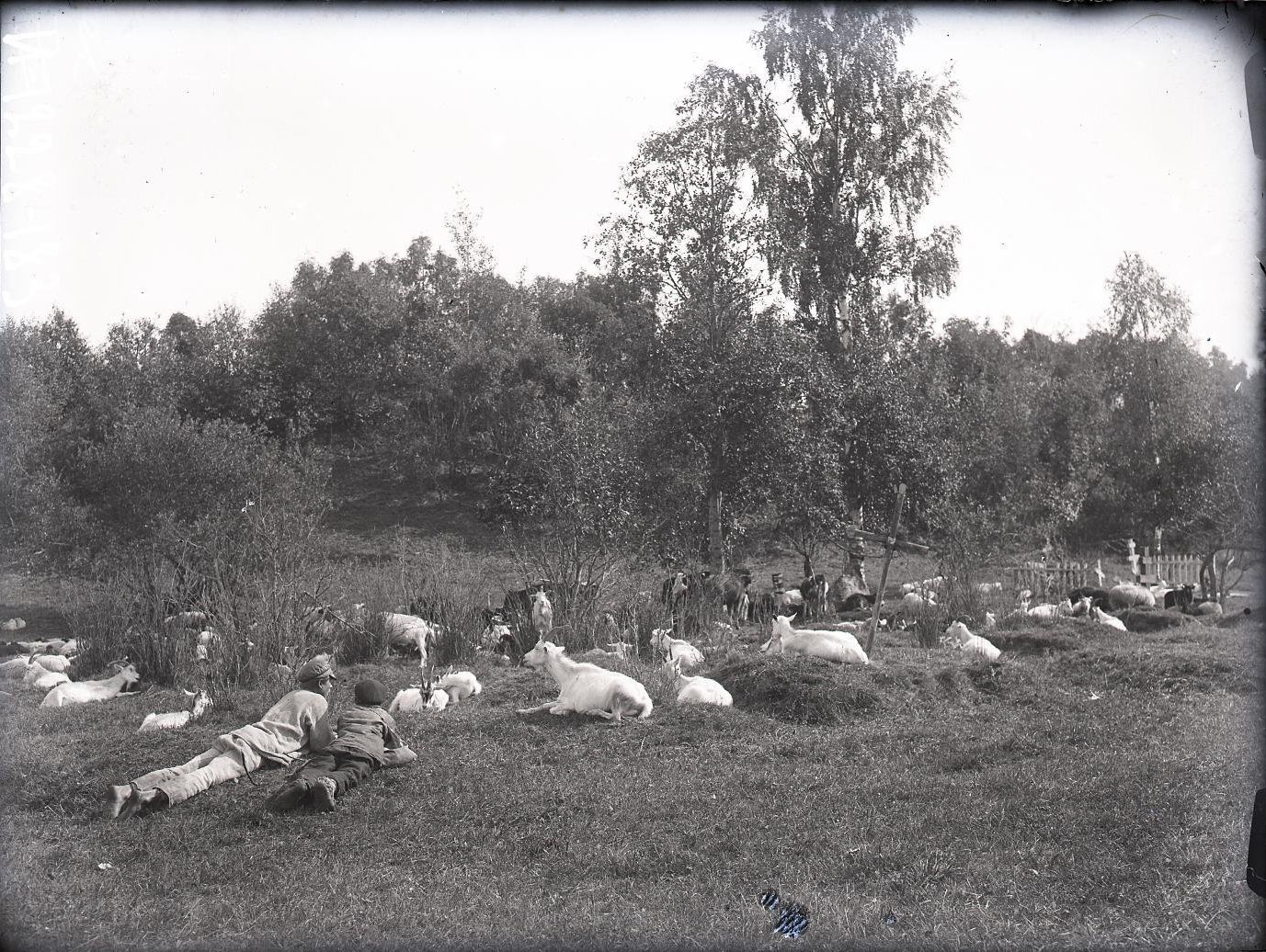 Традиционное русское село. 1925 г. - Россия, Деревня, Длиннопост, Старое фото