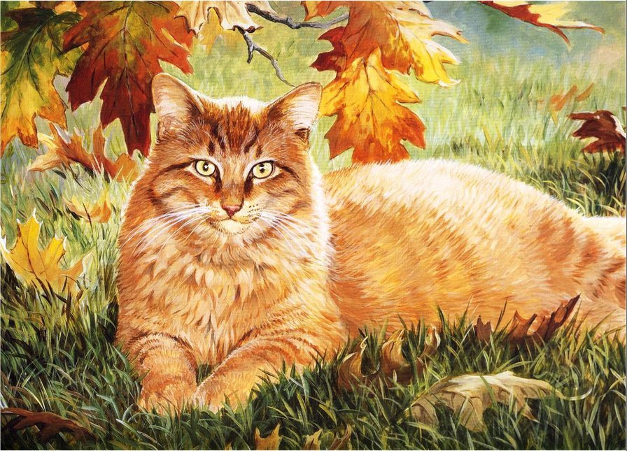 October - cat, Catomafia, Autumn, The photo, Leaves, , Internet, Longpost