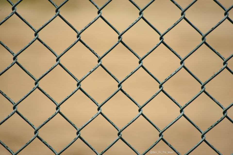 Amazing nearby - Net, Netting, Fence, Patterns, Twitter, Longpost