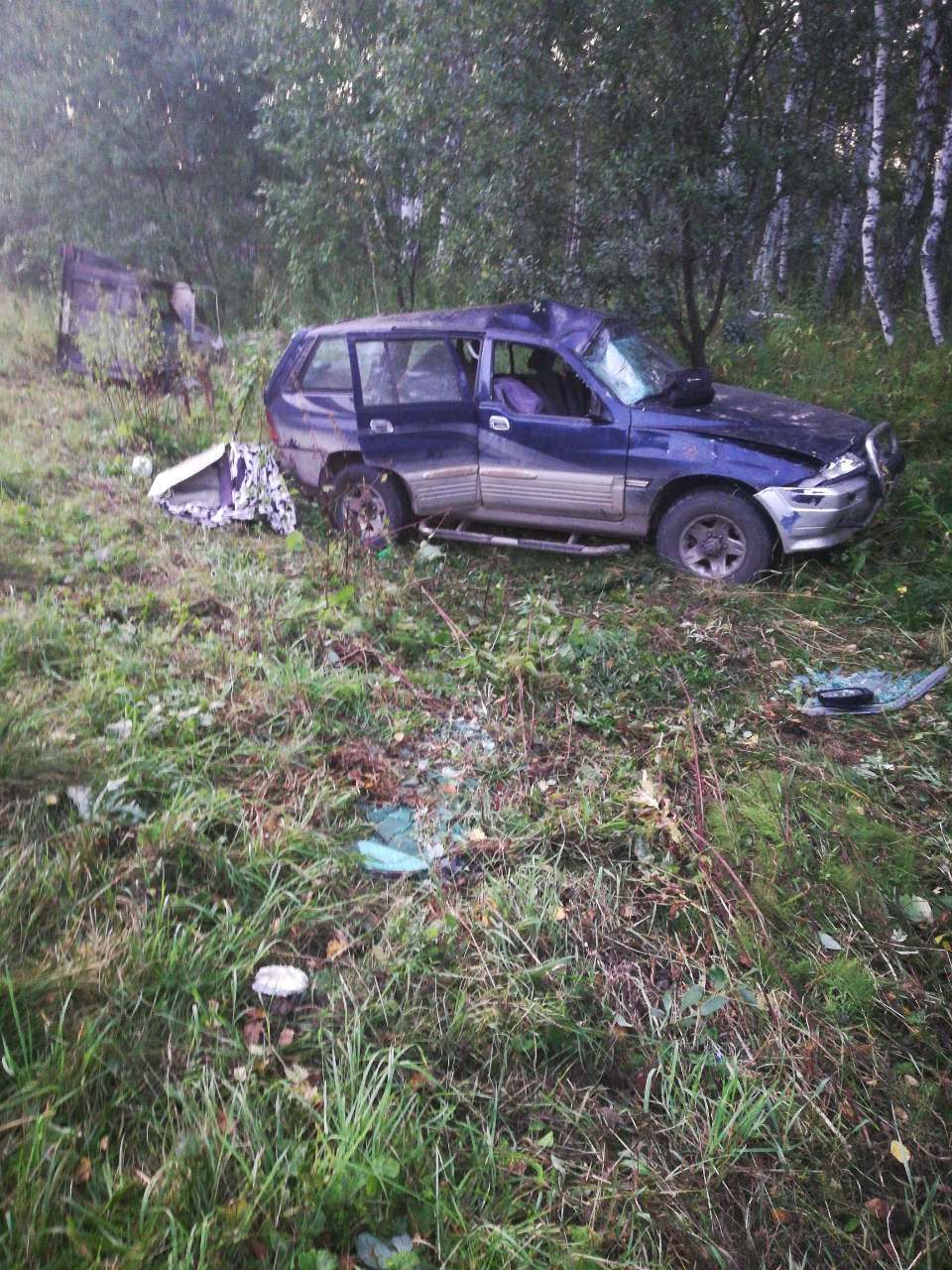 Нужна помощь в Кемерово. - Моё, ДТП, Кемерово, Коневоз, По пути, Длиннопост, Без рейтинга, Животные, Помощь, Лошади