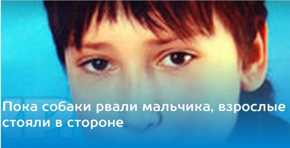 Страшнее Беслана. 394 нелепые смерти в России XXI века - Бродячие собаки, Зоозащитники, Радикальная зоозащита, Освв, Нападение собак, Фз, Беслан, Длиннопост, Закон