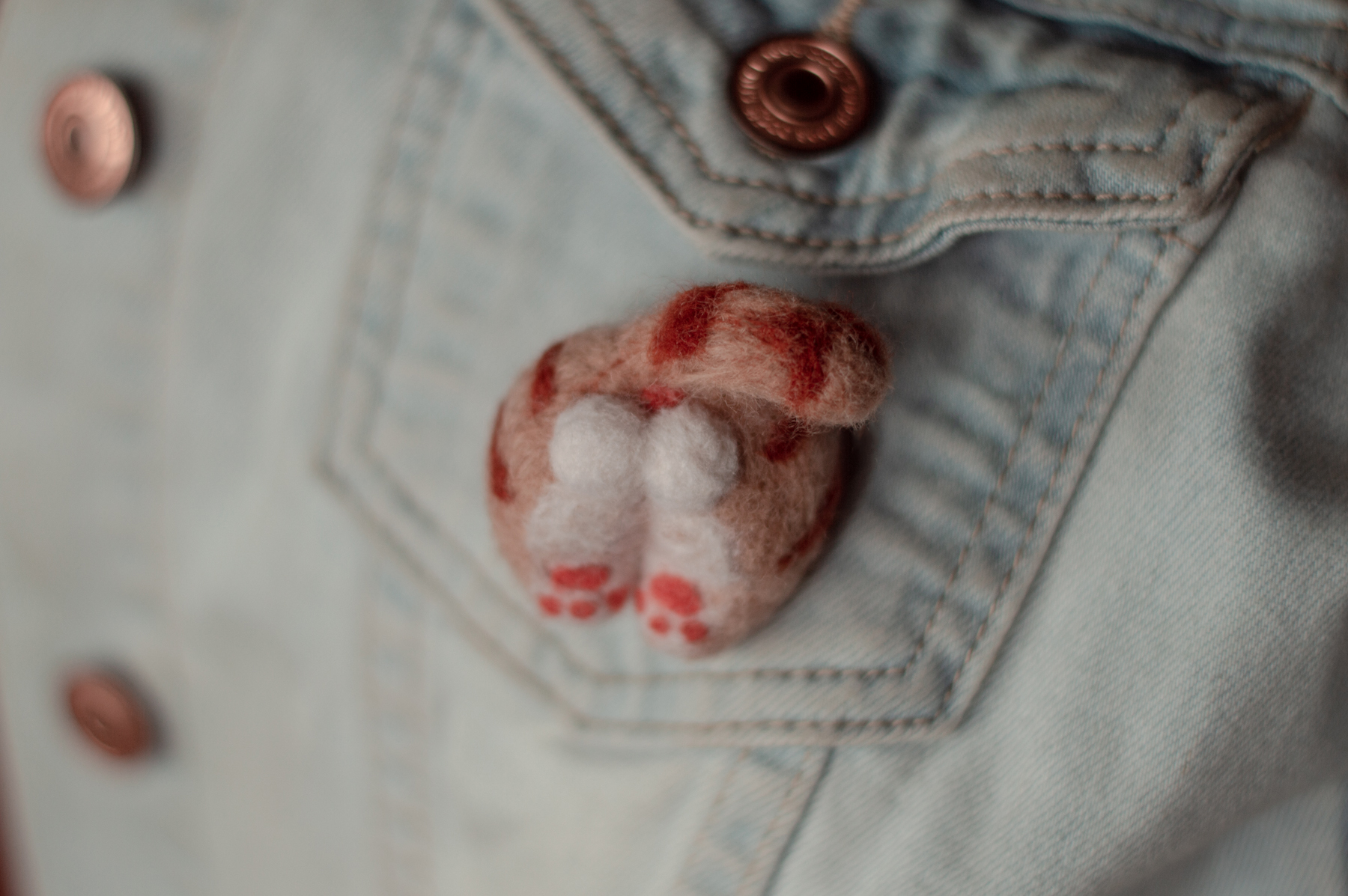 Censorship? )) put a strawberry? or two? =D - My, Brooch, Handmade, cat, Longpost